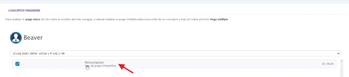 Concepto de reinscripción en la lista de pagos