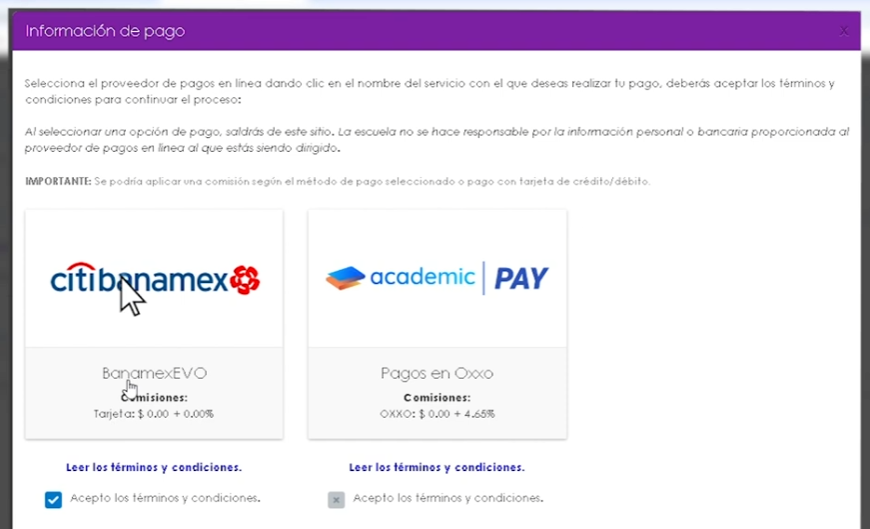 Captura del paso 8: Elige Citibanamex